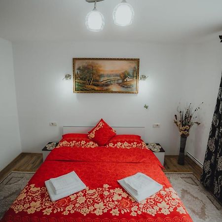 Casa Andreea Si Grigore Ursu Borşa Esterno foto