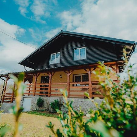 Casa Andreea Si Grigore Ursu Borşa Esterno foto