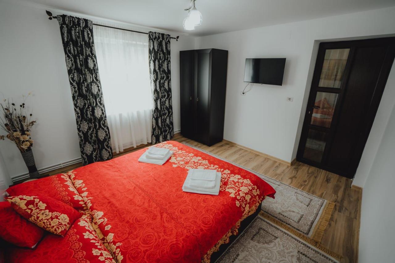 Casa Andreea Si Grigore Ursu Borşa Esterno foto