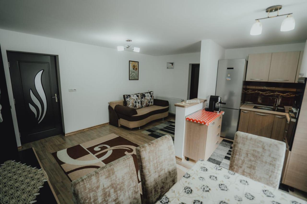 Casa Andreea Si Grigore Ursu Borşa Esterno foto