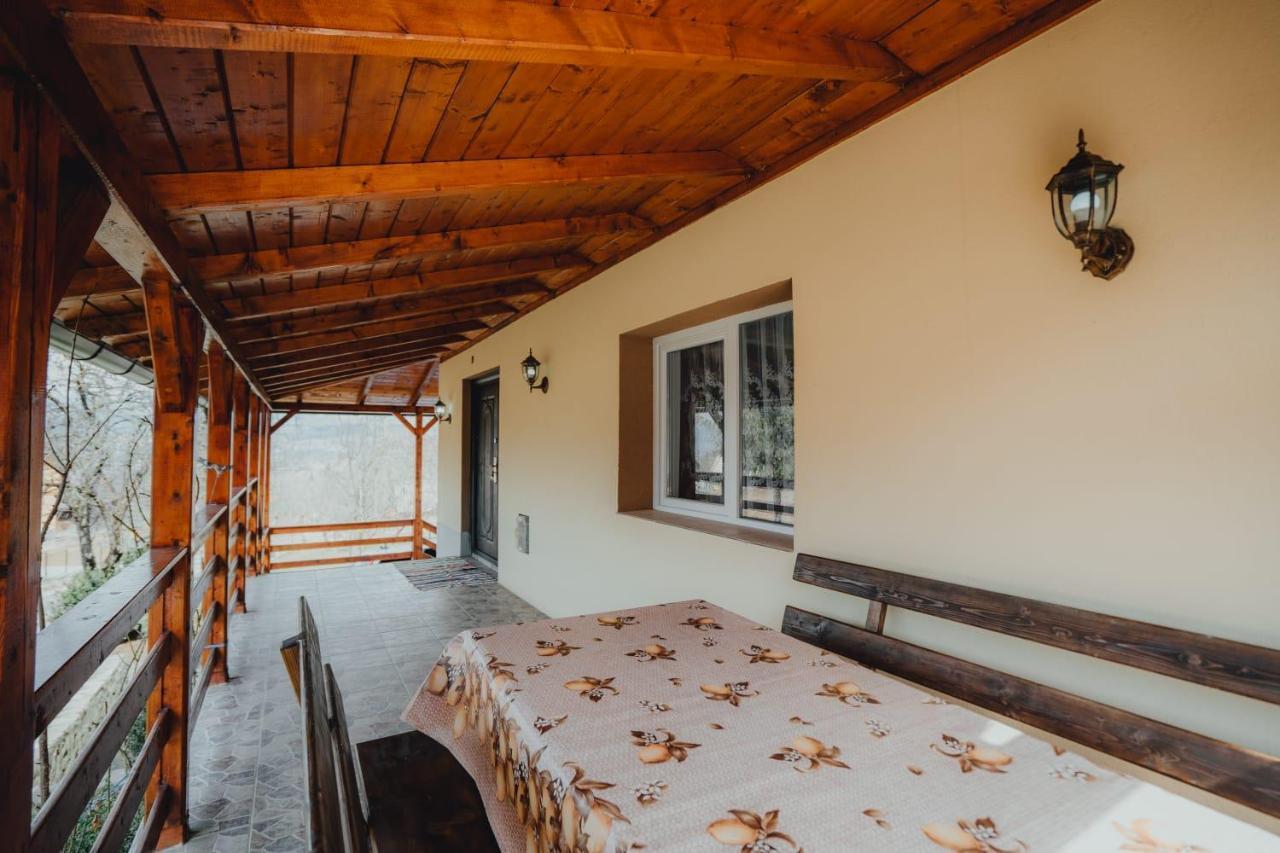 Casa Andreea Si Grigore Ursu Borşa Esterno foto
