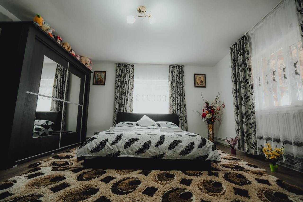 Casa Andreea Si Grigore Ursu Borşa Esterno foto