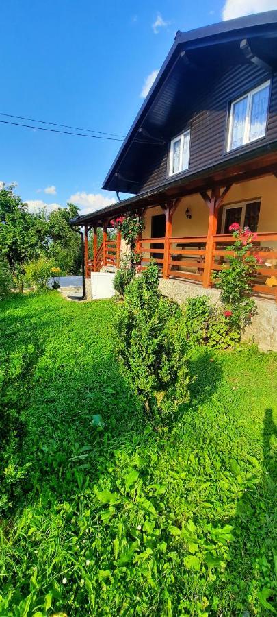 Casa Andreea Si Grigore Ursu Borşa Esterno foto