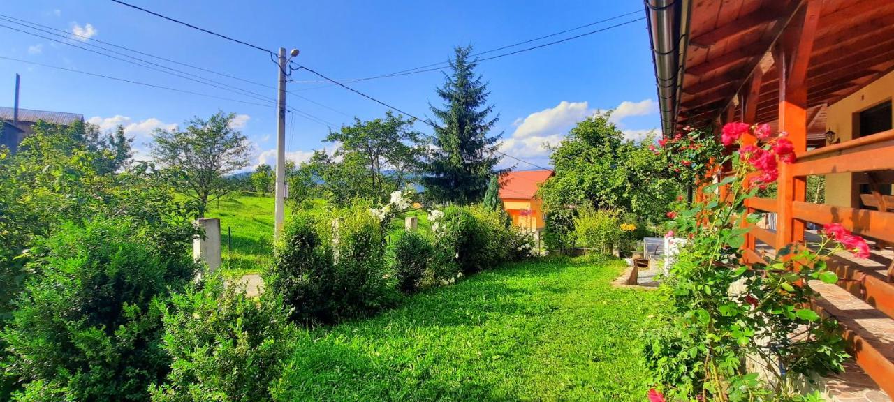 Casa Andreea Si Grigore Ursu Borşa Esterno foto