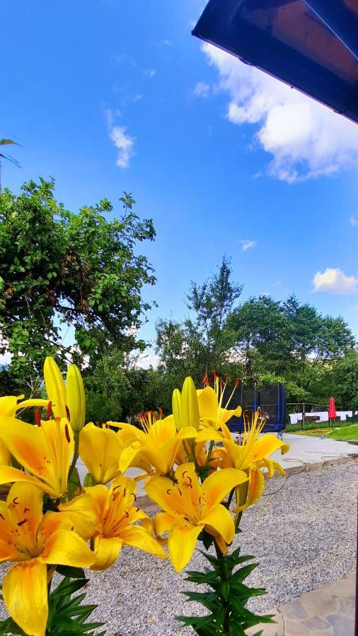 Casa Andreea Si Grigore Ursu Borşa Esterno foto